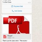 waba-message-type-pdf-message